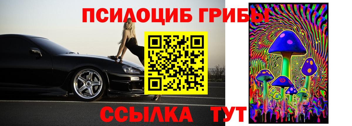 продажа наркотиков  Вход с VPN  Боровичи  Галлюциногенные грибы прущие грибы 